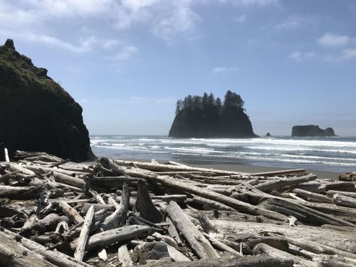 A scenic beach with driftwood, rocky cliffs, and a small island with trees in the background under a blue sky.