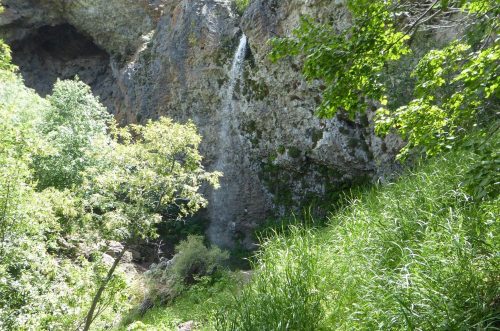 A lush green landscape with a waterfall cascading down rocky cliffs, surrounded by trees and tall grass.