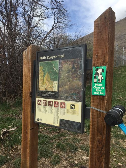Trail sign for Neffs Canyon with a map and pet waste reminder, surrounded by trees and grass.