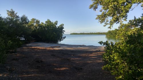 A serene view of a calm lake surrounded by lush greenery and trees under a clear blue sky.