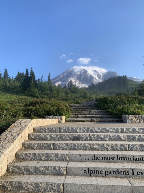 Stone steps lead up to a mountain, surrounded by lush greenery and a clear blue sky. Text at the bottom quotes about alpine gardens.