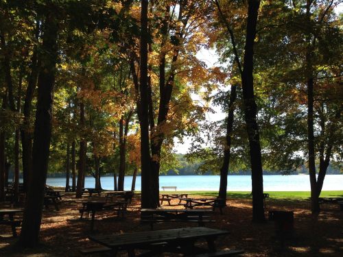 A serene lakeside scene with picnic tables surrounded by trees displaying autumn foliage.