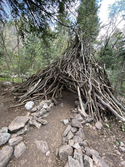 A rustic structure made of branches and stones, nestled among trees in a forested area.