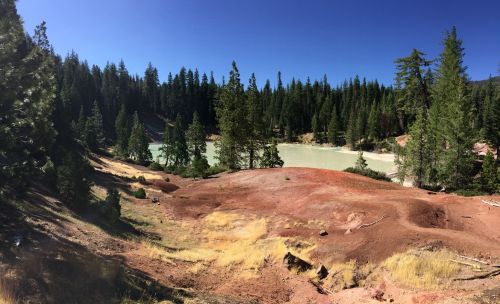 A serene landscape featuring a light green lake surrounded by tall pine trees and reddish-brown earth under a clear blue sky.