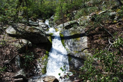 A serene waterfall cascading over rocks, surrounded by lush greenery and forest foliage.