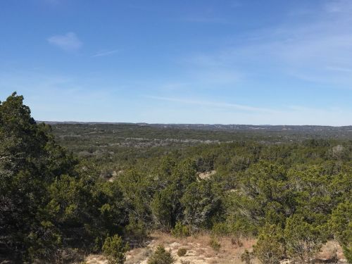 A panoramic view of a green landscape with trees under a clear blue sky and distant hills.