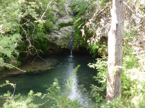 A serene natural scene featuring a small waterfall flowing into a clear pool, surrounded by lush greenery and trees.