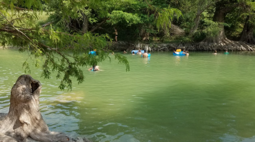 People swimming and floating in a green river surrounded by trees and natural scenery.