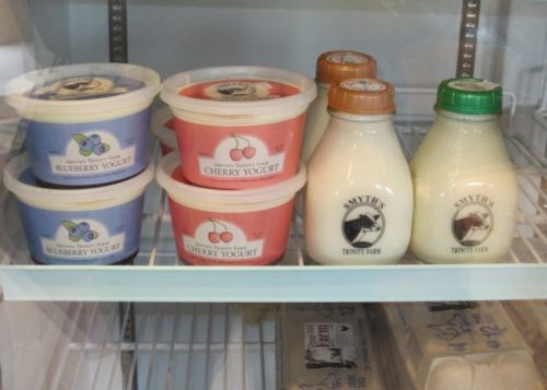 Containers of blueberry and cherry yogurt, along with bottles of milk, displayed in a refrigerator.