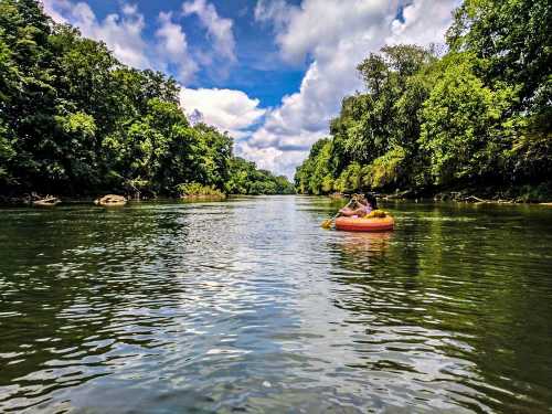 A person floats on a river in an inflatable tube, surrounded by lush green trees and a bright blue sky.