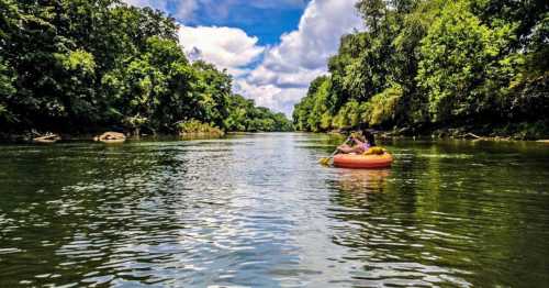 A person paddles a colorful inner tube down a serene river surrounded by lush green trees and a bright blue sky.