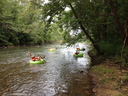 People relaxing on inner tubes float down a calm river surrounded by lush greenery.