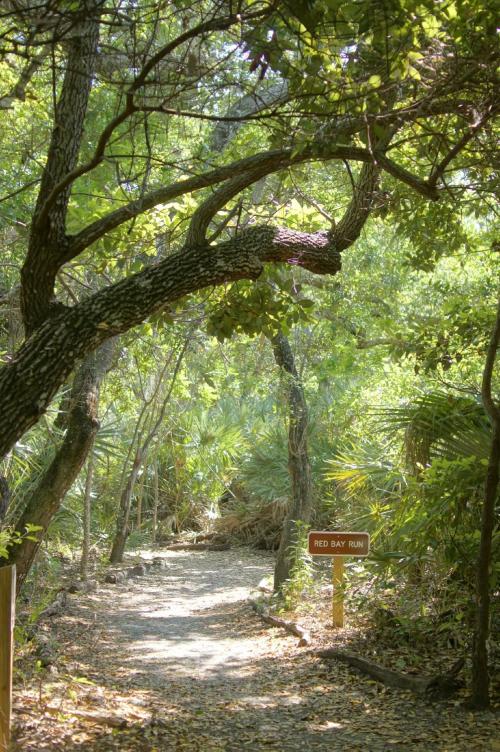 A winding trail through lush greenery, with a sign reading "Red Bay Run" visible along the path.