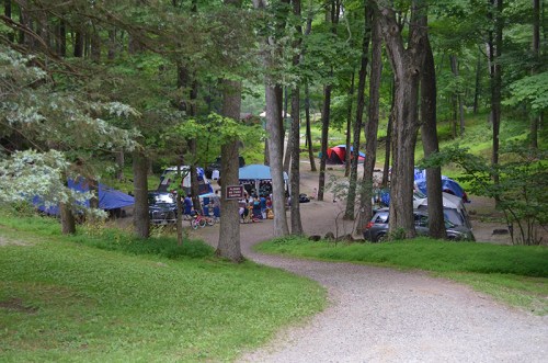 A winding gravel path leads to a wooded campsite with tents and people enjoying the outdoors.