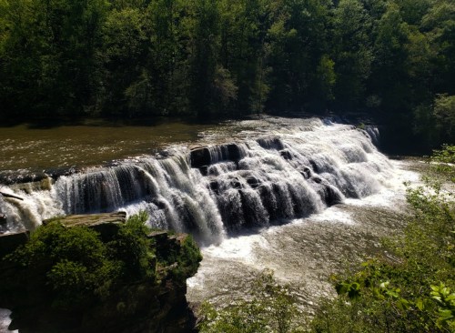 A serene waterfall cascading over rocks, surrounded by lush green trees and a calm river below.