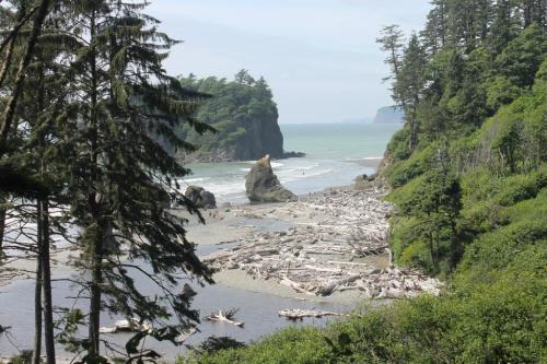 A scenic beach view with driftwood, rocky formations, and lush greenery under a clear sky.