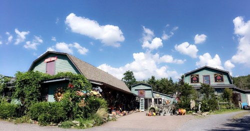 A charming rustic shop with colorful decorations, surrounded by greenery under a bright blue sky with fluffy clouds.