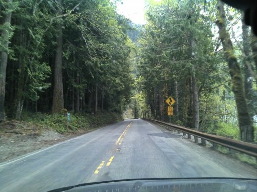 A winding road surrounded by tall trees, with a caution sign indicating a curve ahead.