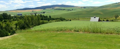 A scenic view of rolling green hills, fields, and a distant barn under a blue sky with fluffy clouds.
