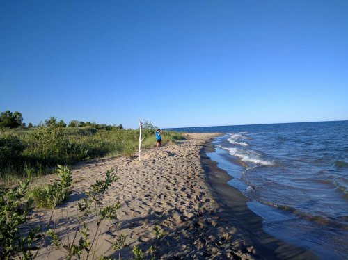 A sandy beach with gentle waves, a person walking along the shore, and greenery in the background under a clear blue sky.