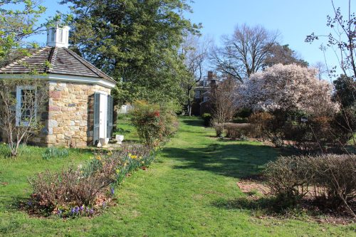 A sunny garden path lined with flowers, leading to a stone building and a blooming tree in the background.