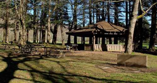 A shaded picnic area with a gazebo surrounded by trees and picnic tables on a sunny day.