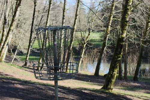 A disc golf basket surrounded by trees, with a serene pond visible in the background.