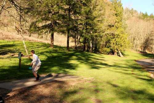 A person throws a disc in a grassy park surrounded by trees and a winding path.