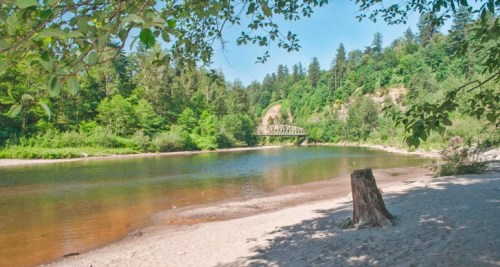 A serene river scene with a sandy shore, lush green trees, and a bridge in the background under a clear blue sky.