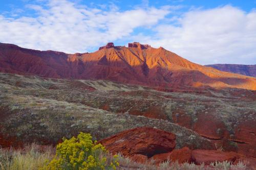 A vibrant landscape featuring red rock formations under a blue sky with scattered clouds, and yellow wildflowers in the foreground.