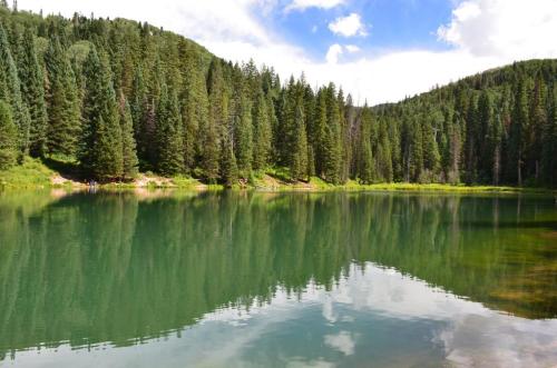 A serene lake surrounded by lush green trees and mountains, reflecting the sky and forest in calm waters.