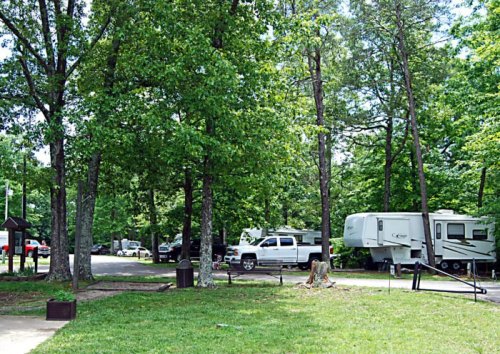A campsite with RVs and trucks surrounded by lush green trees and grass.
