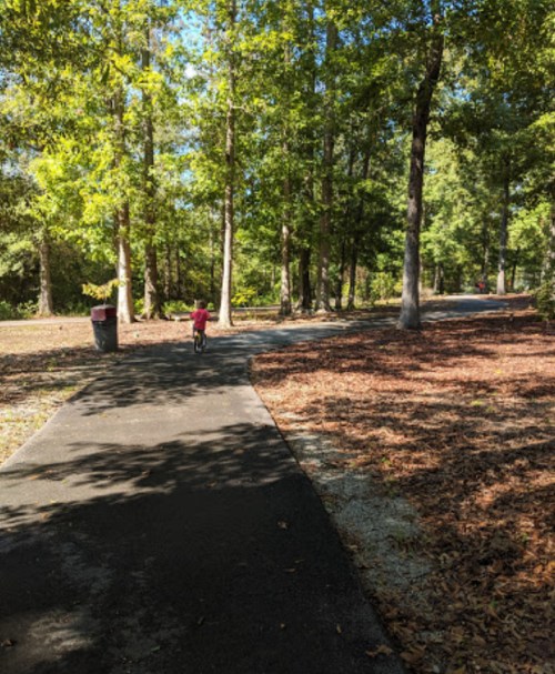 A child rides a bike on a paved path through a wooded area with trees and fallen leaves.