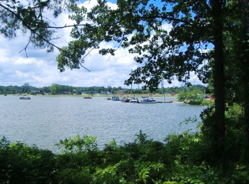A serene lake view framed by trees, with boats docked and a cloudy blue sky above.