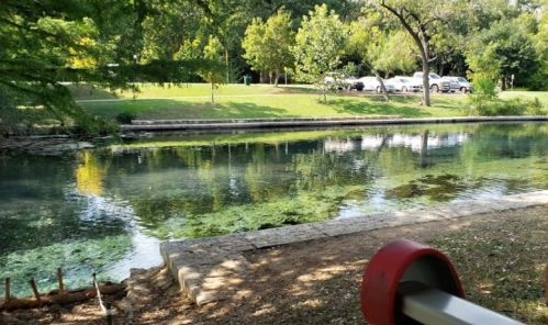 A serene river scene with green trees, a grassy bank, and reflections on the water, framed by a stone edge.