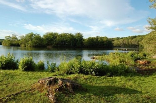 A serene lake surrounded by lush greenery and trees under a clear blue sky.