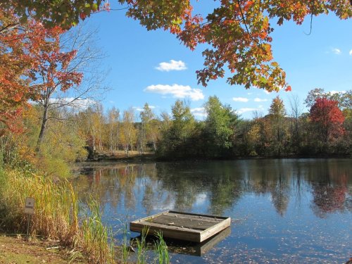 A serene pond surrounded by autumn foliage, featuring a wooden dock and clear blue skies with scattered clouds.