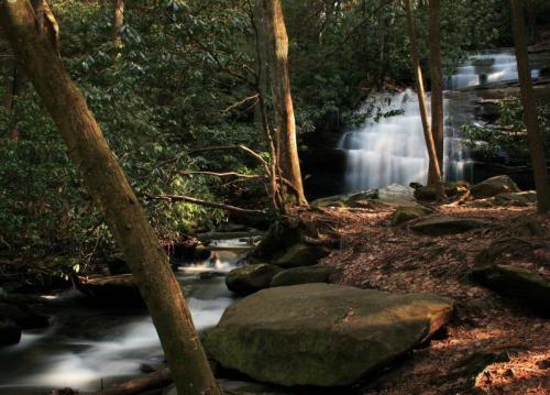 A serene forest scene featuring a waterfall cascading over rocks, surrounded by lush greenery and trees.