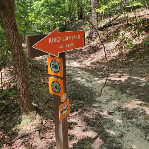 Signpost for Ridge Loop Trail, indicating a 4-mile loop with markers for start and end points along a wooded path.