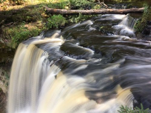 A serene waterfall cascades over rocks, surrounded by lush greenery and a fallen log.