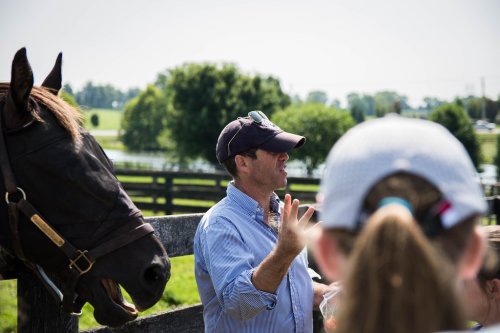 A man in a cap speaks to a group near a horse, with green fields and trees in the background on a sunny day.