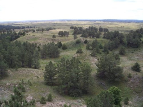 A panoramic view of rolling hills covered in green grass and scattered trees under a cloudy sky.