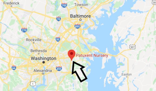 Map highlighting Patuxent Nursery location near Baltimore and Washington, D.C., with an arrow pointing to it.