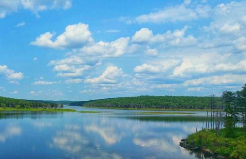 A serene lake surrounded by lush greenery and trees, reflecting fluffy clouds in a bright blue sky.