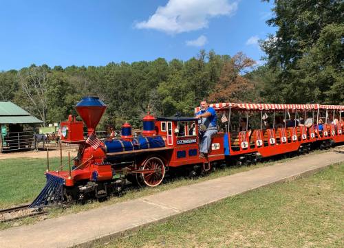 A colorful train with a steam engine and passenger cars, parked in a grassy area surrounded by trees.