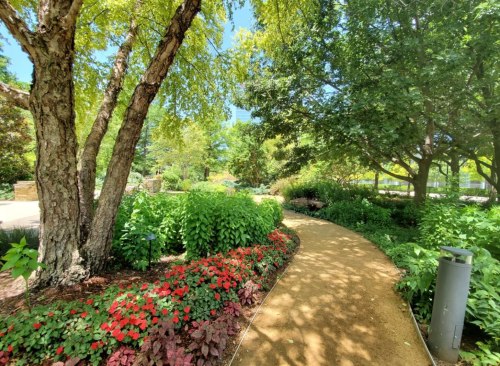 A winding path through a lush garden filled with vibrant flowers and greenery under a clear blue sky.