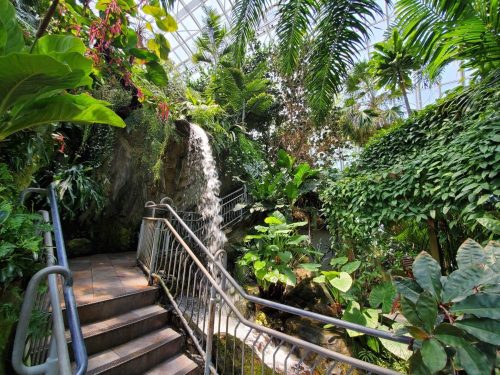 A lush indoor garden with a waterfall, surrounded by tropical plants and a winding staircase.