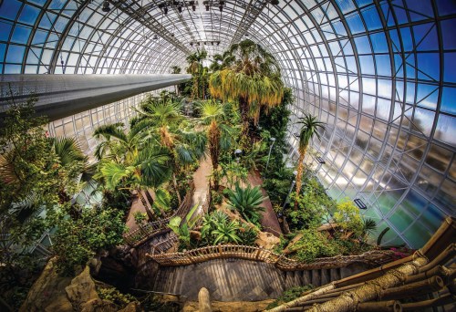 Lush indoor garden with tropical plants, winding paths, and a glass dome ceiling.