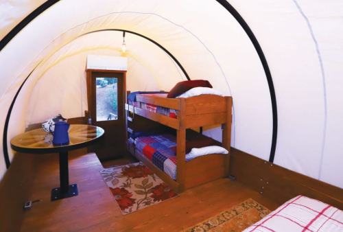 Cozy interior of a glamping tent with bunk beds, a round table, and a window, featuring warm wooden accents.