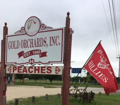 Sign for Gold Orchards, Inc. with "Peaches" and a red flag, set in a grassy area with a vintage plow nearby.